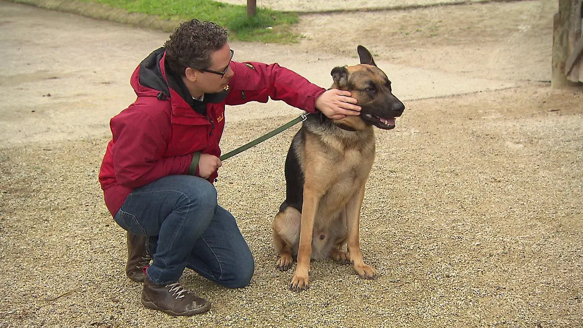 Anne Krüger-Degener hat ein eigenes Trainingskonzept entwickelt, mit dessen Hilfe Hund und Halter eine Partnerschaft eingehen können sollen.