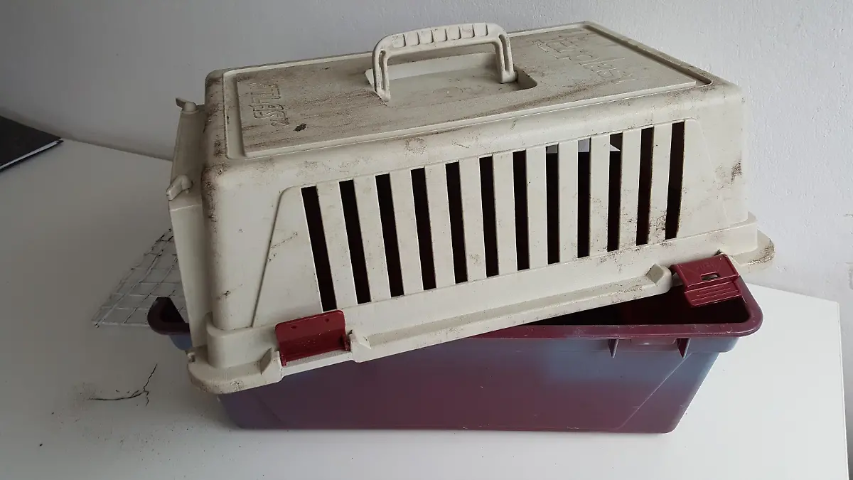 Foto der Transportbox, in der ein Unbekannter eine lebende Katze eingesperrt und eingegraben hat - das Bild von Simone Steinbrenner zur Verfügung gestellt.