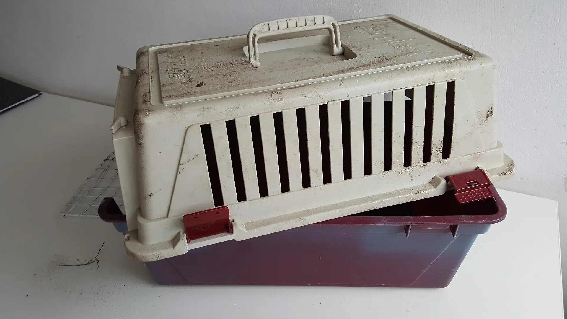 Foto der Transportbox, in der ein Unbekannter eine lebende Katze eingesperrt und eingegraben hat - das Bild von Simone Steinbrenner zur Verfügung gestellt.