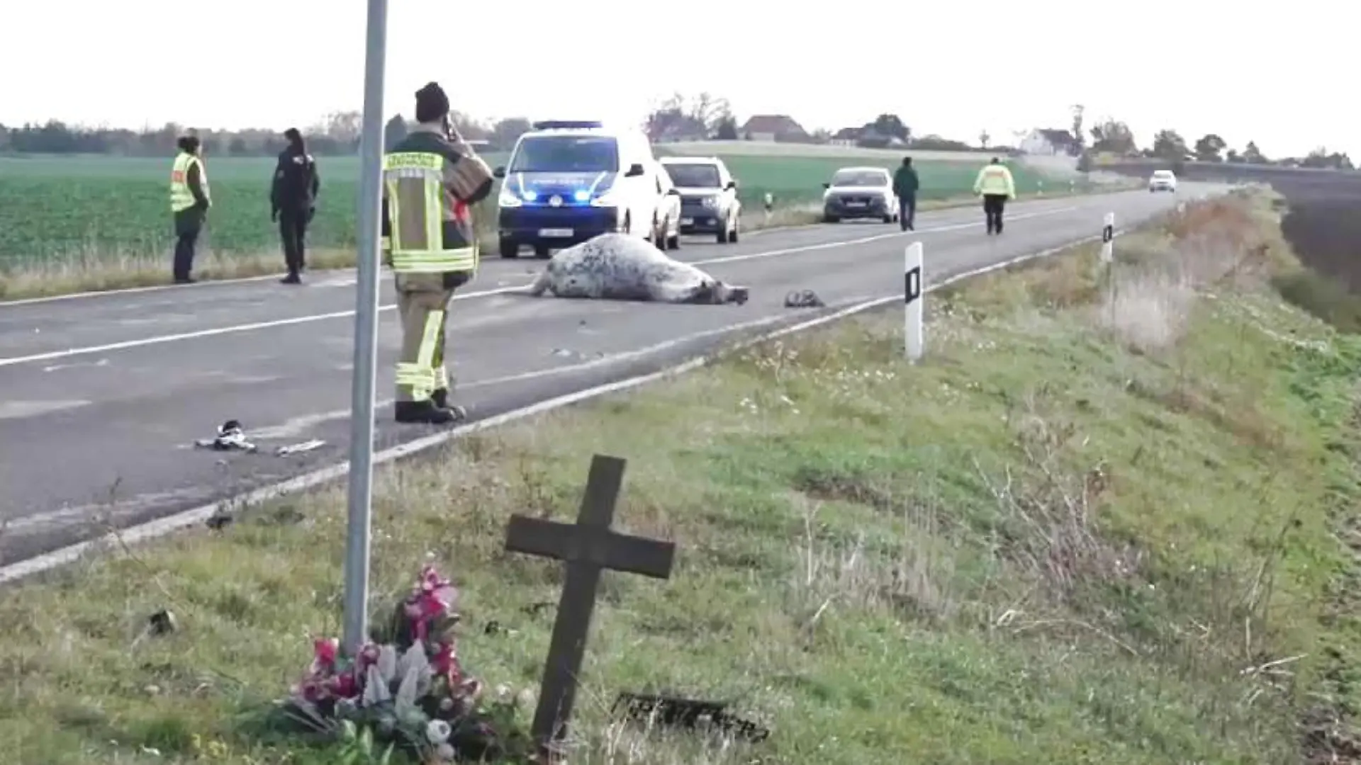 Einsatzkräfte müssen die toten Tiere von der Landstraße räumen.