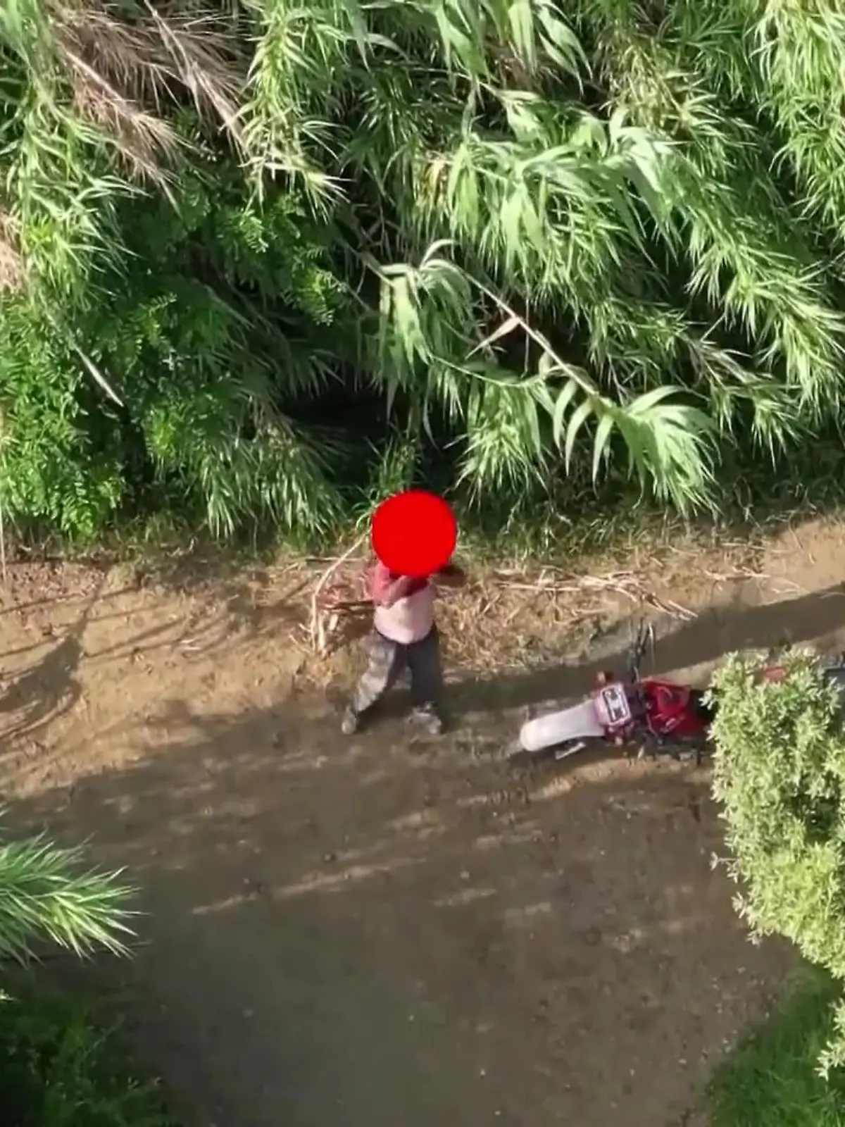 Was treibt jemanden zu so einer Tat? Die Menschen in Italien kämpfen nicht nur gegen die Hitze, sondern auch gegen Brände. Am 24. Juli erwischt eine Drohne dann einen mutmaßlichen Brandstifter, der anscheinend noch mehr Unheil stiften wollte. Wie er reagiert, als er die Drohne bemerkt, zeigen wir im Video!