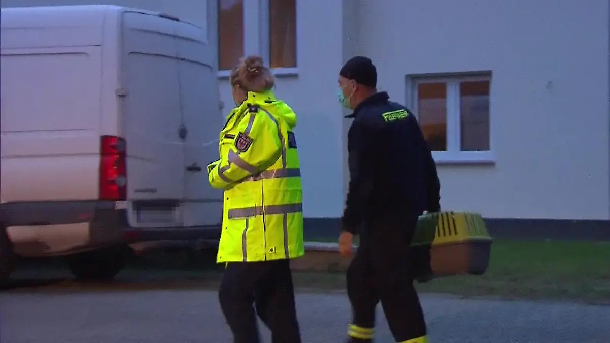 Hund der toten Familie in Senzig