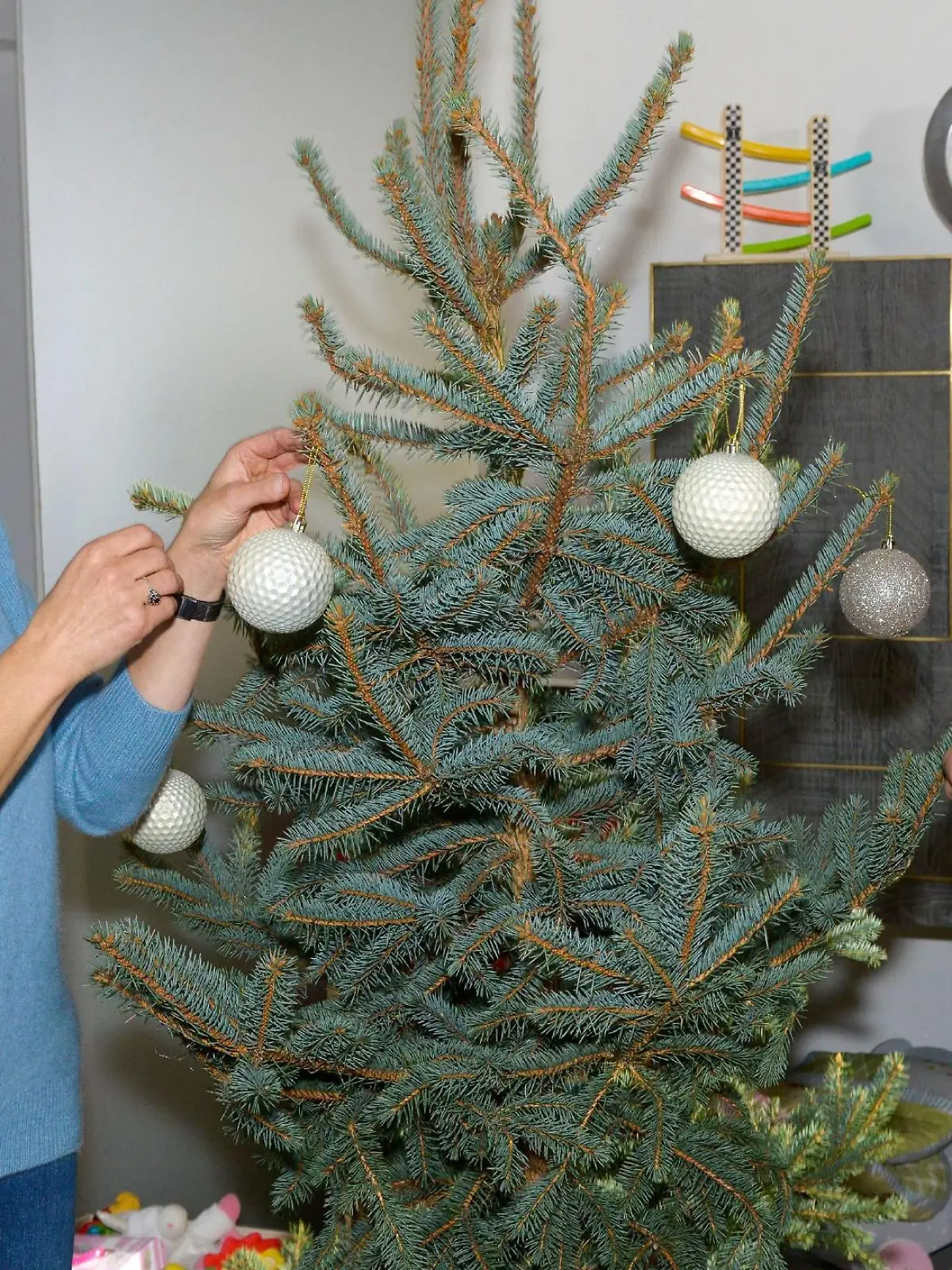Katrin (Ulrike Frank) und Tobias (Jan Kittmann) schmücken zusammen den Weihnachtsbaum und schwelgen in der Vorstellung wie es wäre, allein zusammenzuwohnen. 

Die Verwendung des sendungsbezogenen Materials ist nur mit dem Hinweis und Verlinkung auf RTL+ gestattet.