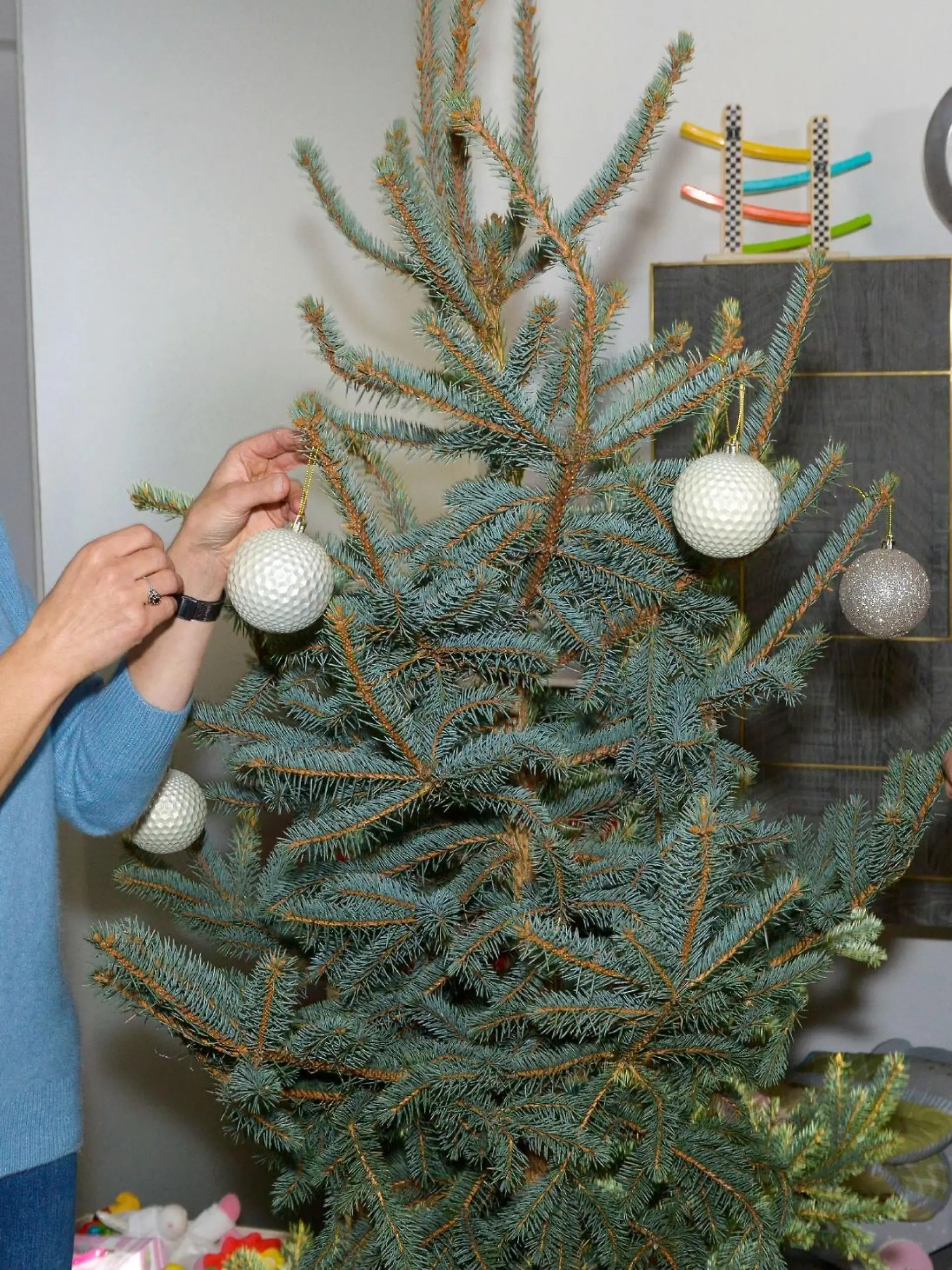 Katrin (Ulrike Frank) und Tobias (Jan Kittmann) schmücken zusammen den Weihnachtsbaum und schwelgen in der Vorstellung wie es wäre, allein zusammenzuwohnen. 

Die Verwendung des sendungsbezogenen Materials ist nur mit dem Hinweis und Verlinkung auf RTL+ gestattet.