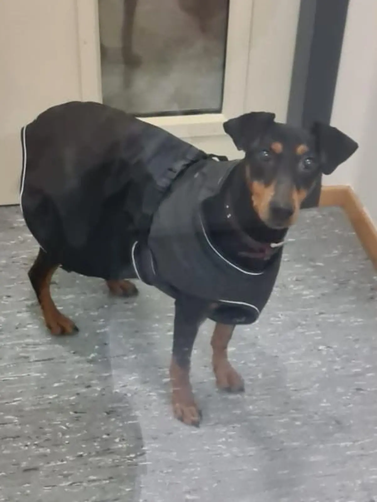 Bild Bundespolizei