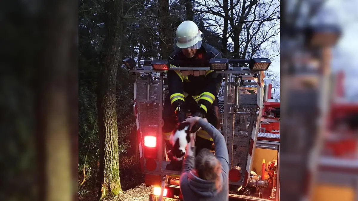 Katze "Schlumpfi" konnte doch noch aus ihrer misslichen Lage befreit werden.