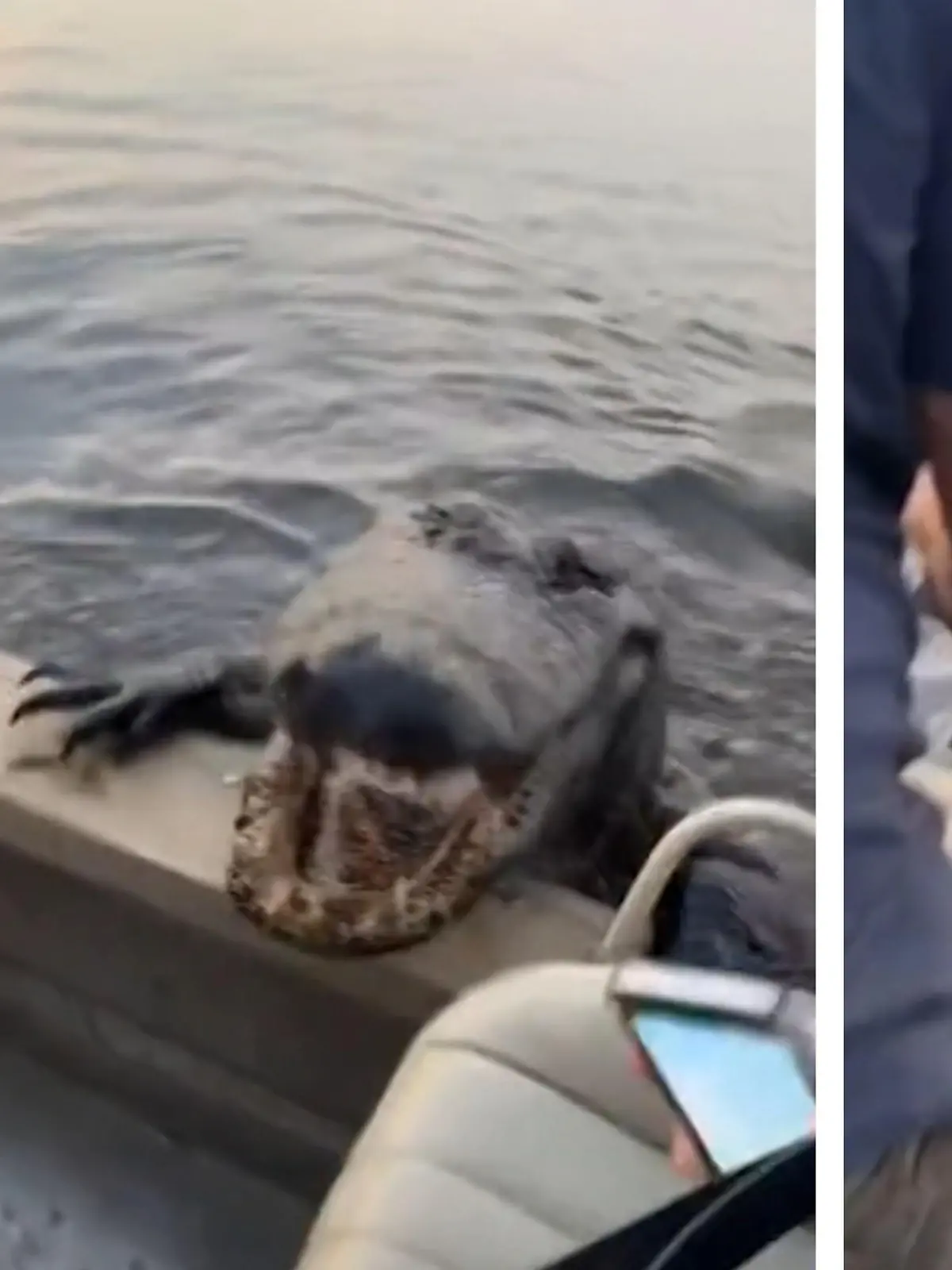Wilde Tiere aus nächster Nähe zu sehen ist immer ein Erlebnis - aber so nah musste es für diese Passagiere dann doch nicht sein. Ohne Vorwarnung klettert nämlich plötzlich ein Riesen-Alligator auf ihr Boot. Zum Glück haben sie ihren ganz persönlichen Crocodile Dundee dabei - mehr im Video.