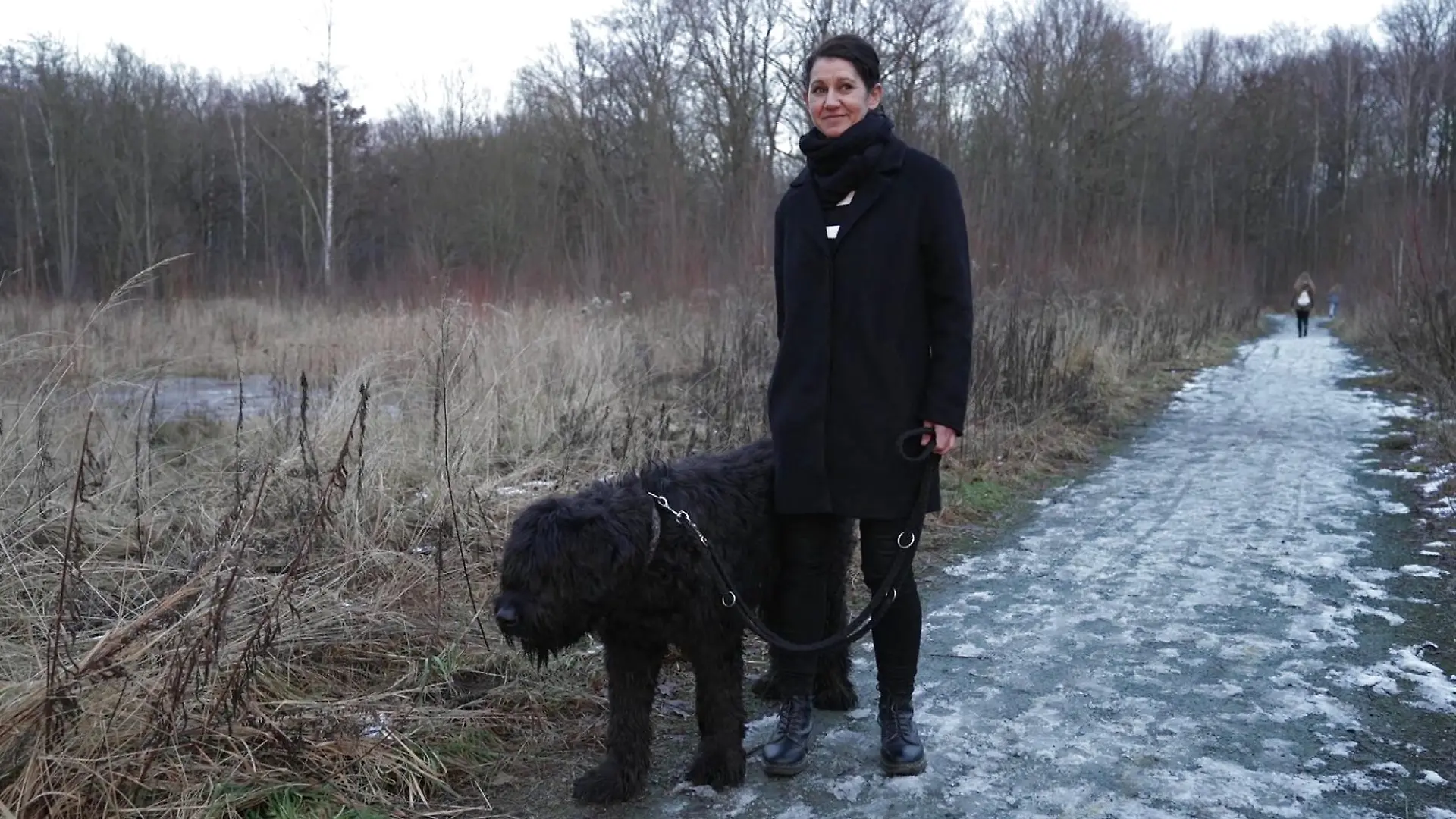 Hund durch Messer verletzt Chemnitz