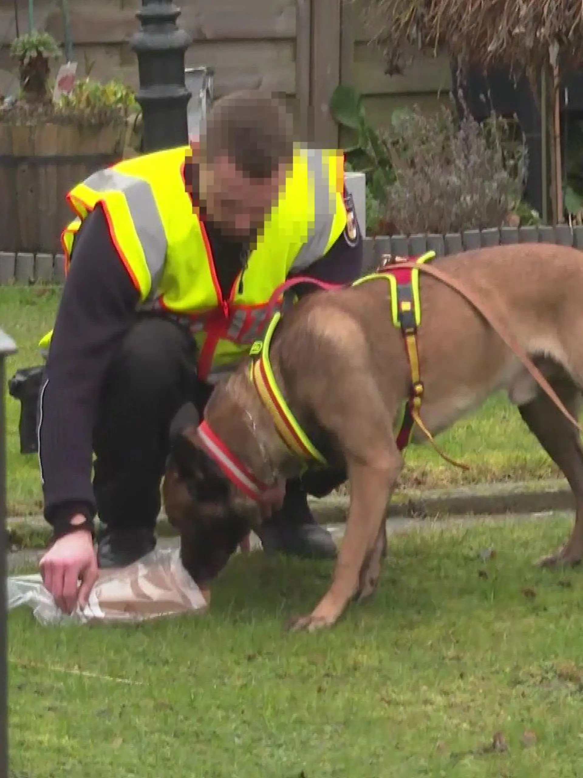 Polizisten haben das Paket, das der Angreifer dabei hatte, in eine Plastikhülle getan und nach draußen gebracht. Ein Polizeihund soll die Witterung aufnehmen.