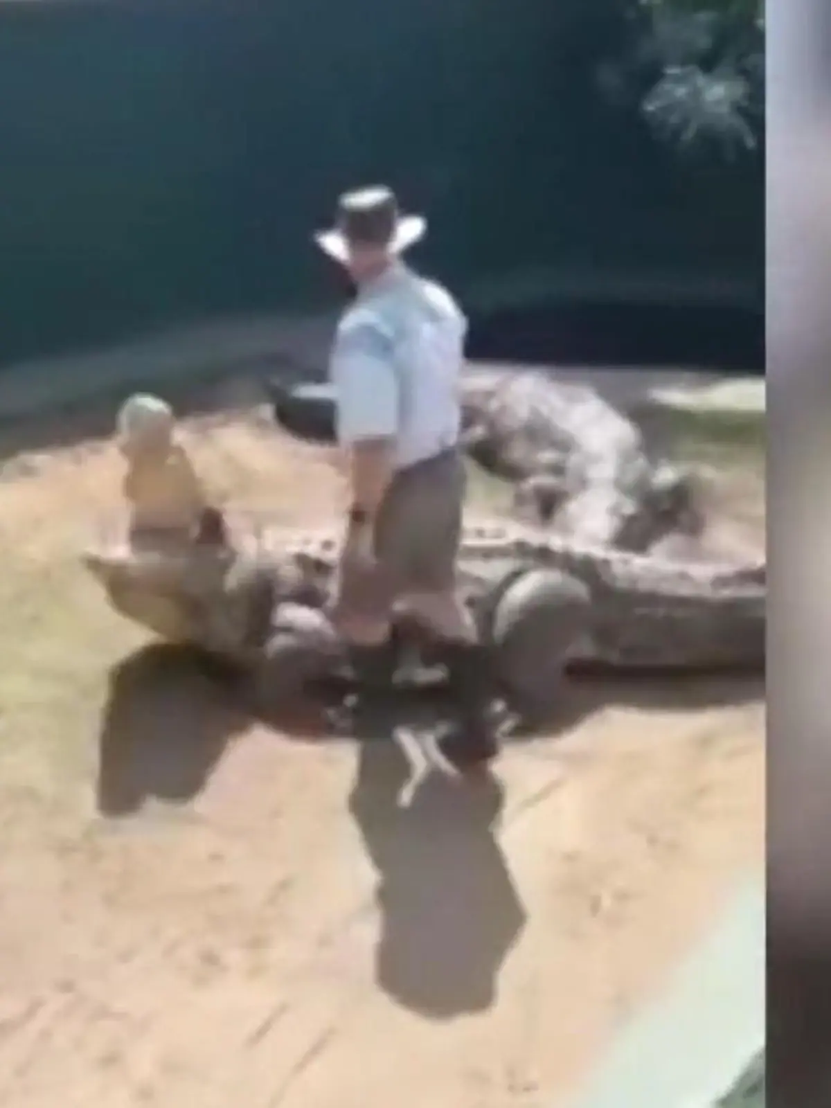 Die Hauptattraktion einer Farm für Nil-Krokodile in Südafrika beweist dem Publikum, wie gefährlich diese Tiere sind.