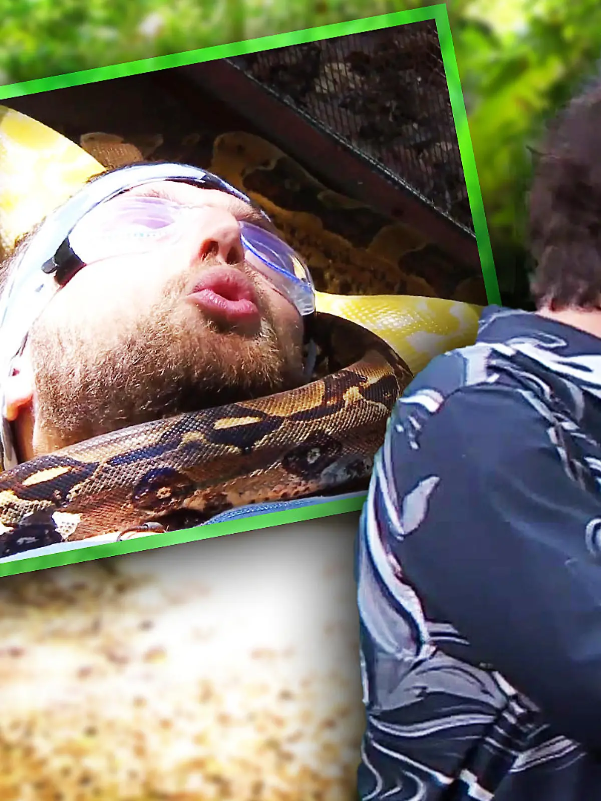 Filip erlebt bei seiner letzten Dschungelprüfung den blanken Horror - Da kann nicht einmal Daniel Hartwich hinschauen!