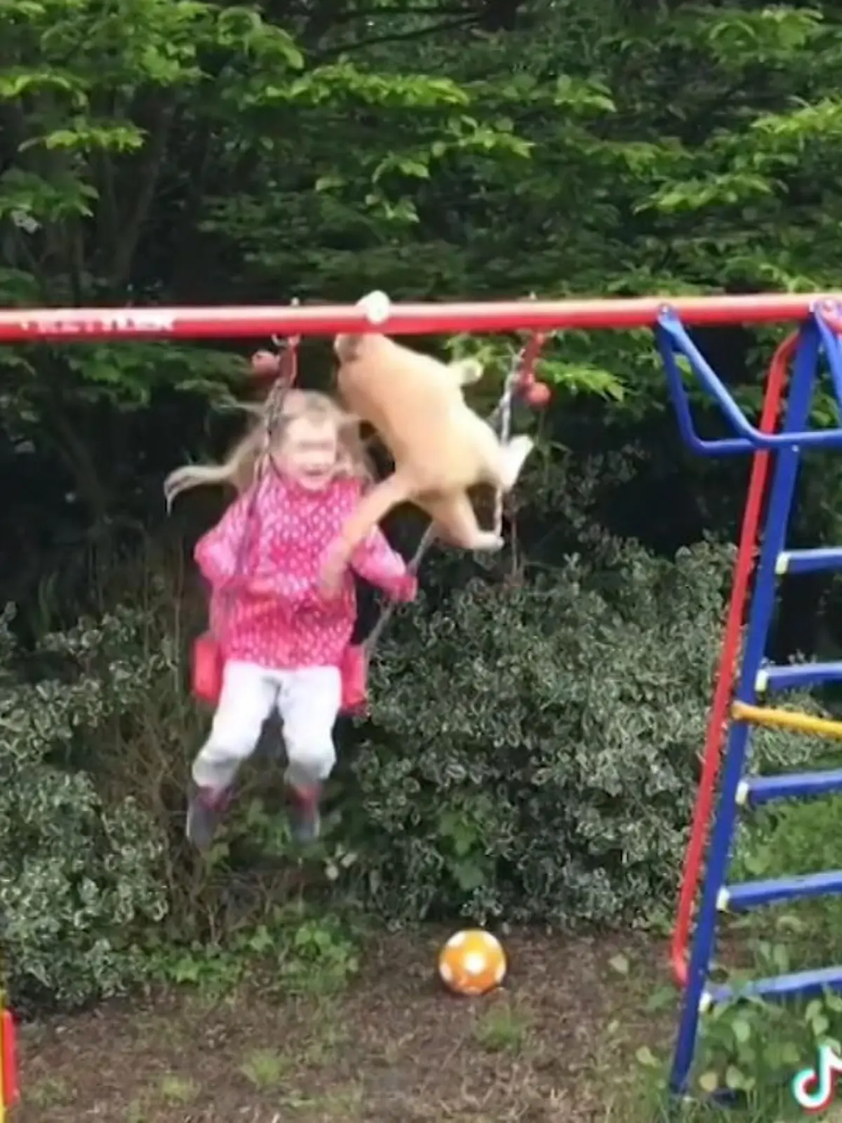Beim Balanceakt auf dem Balken einer Schaukel verliert diese tollpatschige Mieze das Gleichgewicht und – plumps! – folgt der Absturz, inklusive eines wahnwitzigen Action-Stunts.