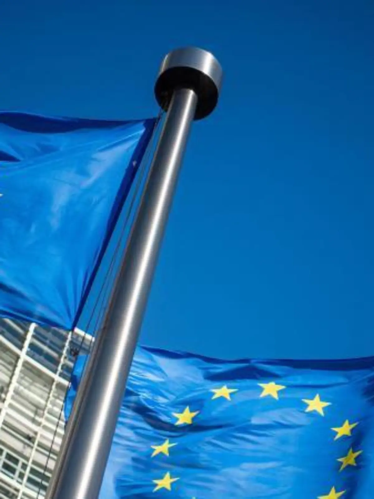 flaggen-der-europaeischen-union-vor-dem-sitz-der-europaeischen-kommission-in-bruessel-foto-arne-immanuel-baenschdpa