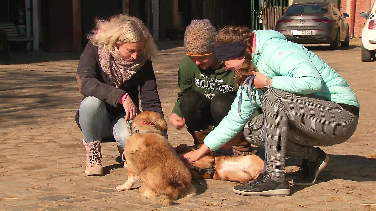 Die drei Freundinnen mit den geretteten Hunden nach ihrer Ankunft wieder in Deutschland.