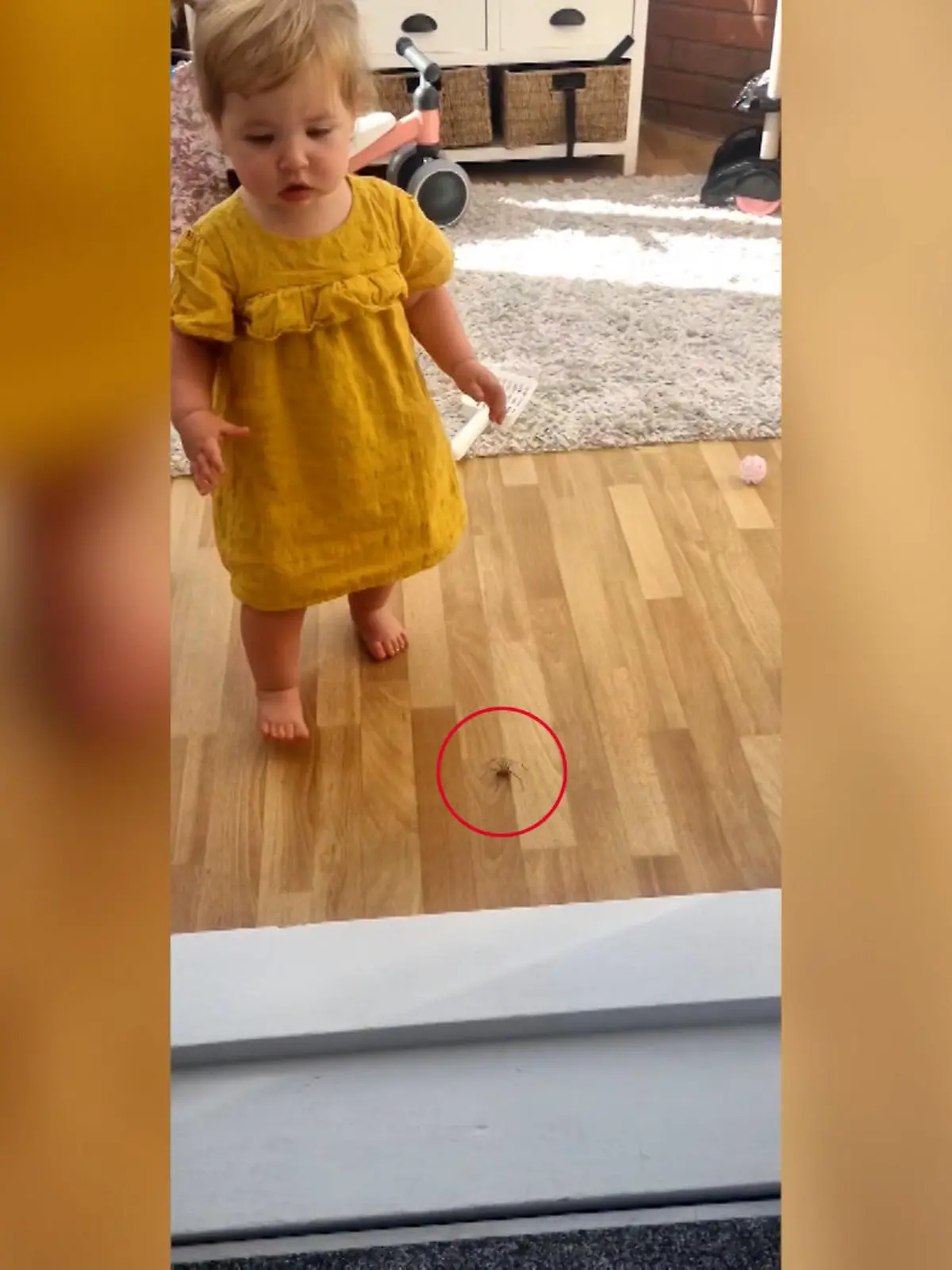 Ein kleines Kind, eine ängstliche Mama und eine Riesenspinne – das perfekte Rezept für ein virales Video. Während die Mutter große Panik gegenüber der eigentlich harmlosen Spinne zeigt, bleibt die kleine Zyrah davon unbeeindruckt.