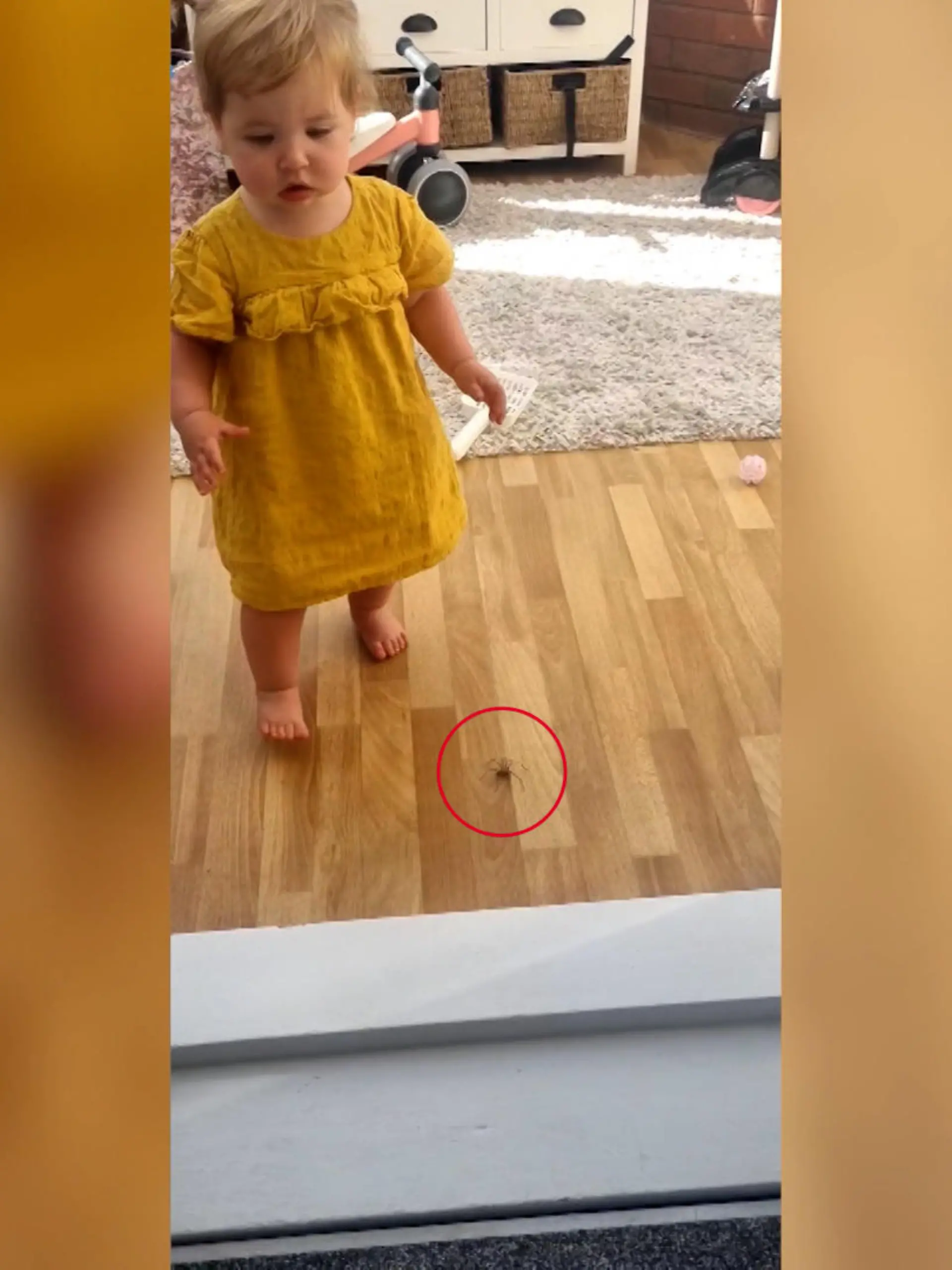 Ein kleines Kind, eine ängstliche Mama und eine Riesenspinne – das perfekte Rezept für ein virales Video. Während die Mutter große Panik gegenüber der eigentlich harmlosen Spinne zeigt, bleibt die kleine Zyrah davon unbeeindruckt.