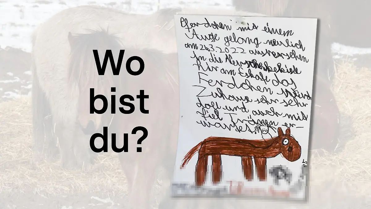 Vermisstenanzeige: Pferdchen wird vermisst