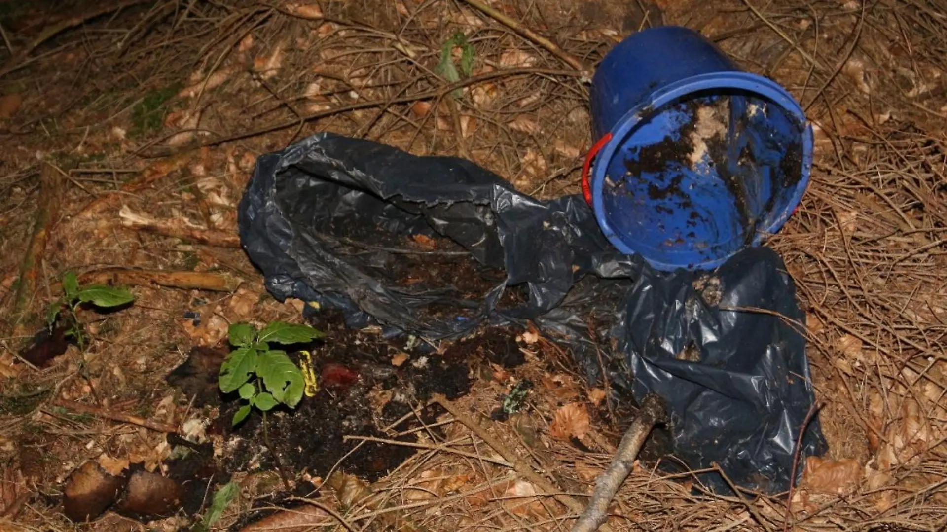 So fanden Spaziergänger das Skelett des Säuglings im Karswald auf.