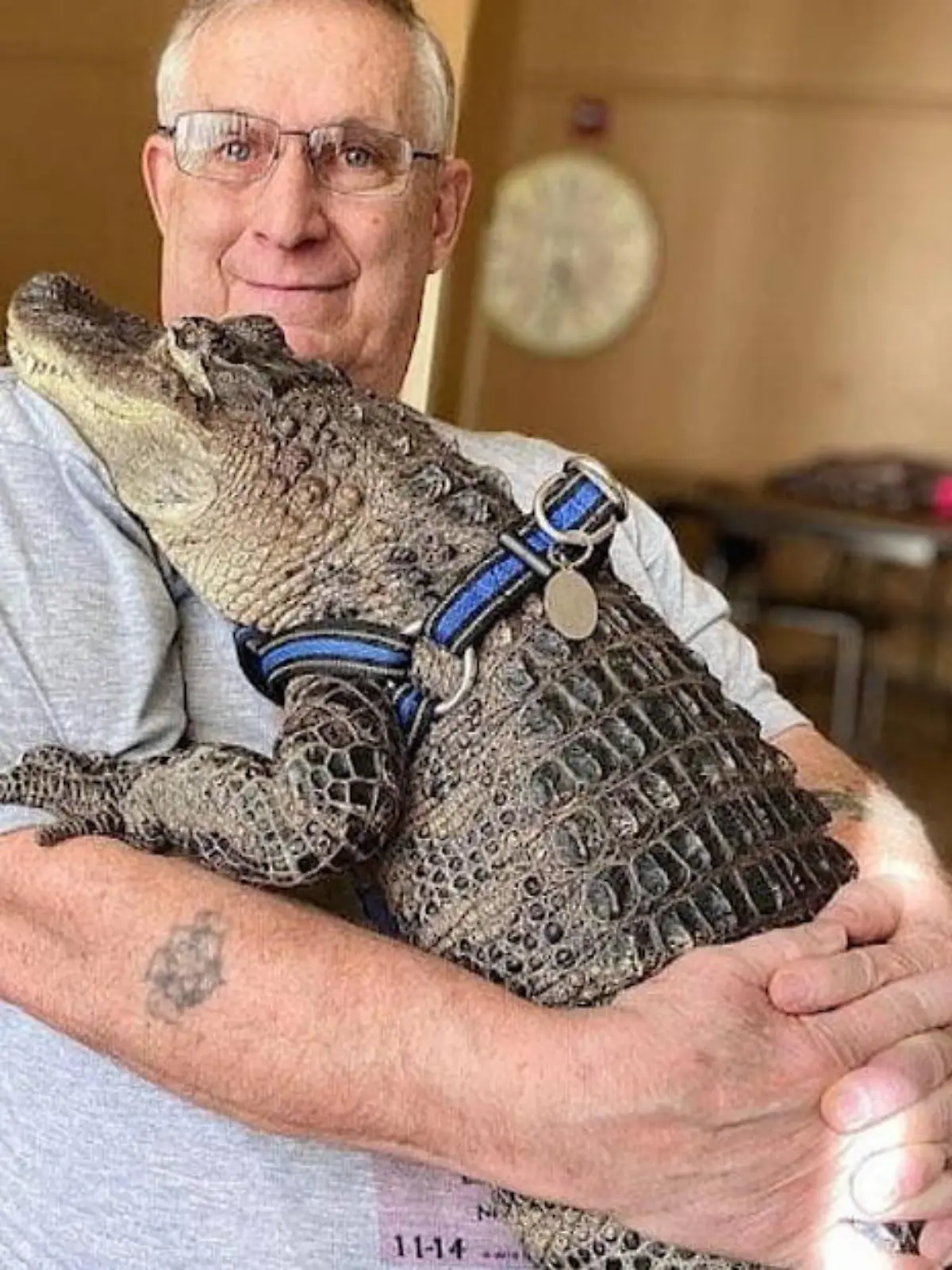 Vor ein paar Jahren bekommt Joseph Henney eine schwere Depression. Seine Therapie schlägt nicht an, bis ein Freund ihm Wally schenkt - einen Alligator. Mittlerweile ist Wally DIE Attraktion in Pennsylvania. Denn als registriertes Therapietier darf er in alle Restaurants, Arztkliniken und Supermärkte.