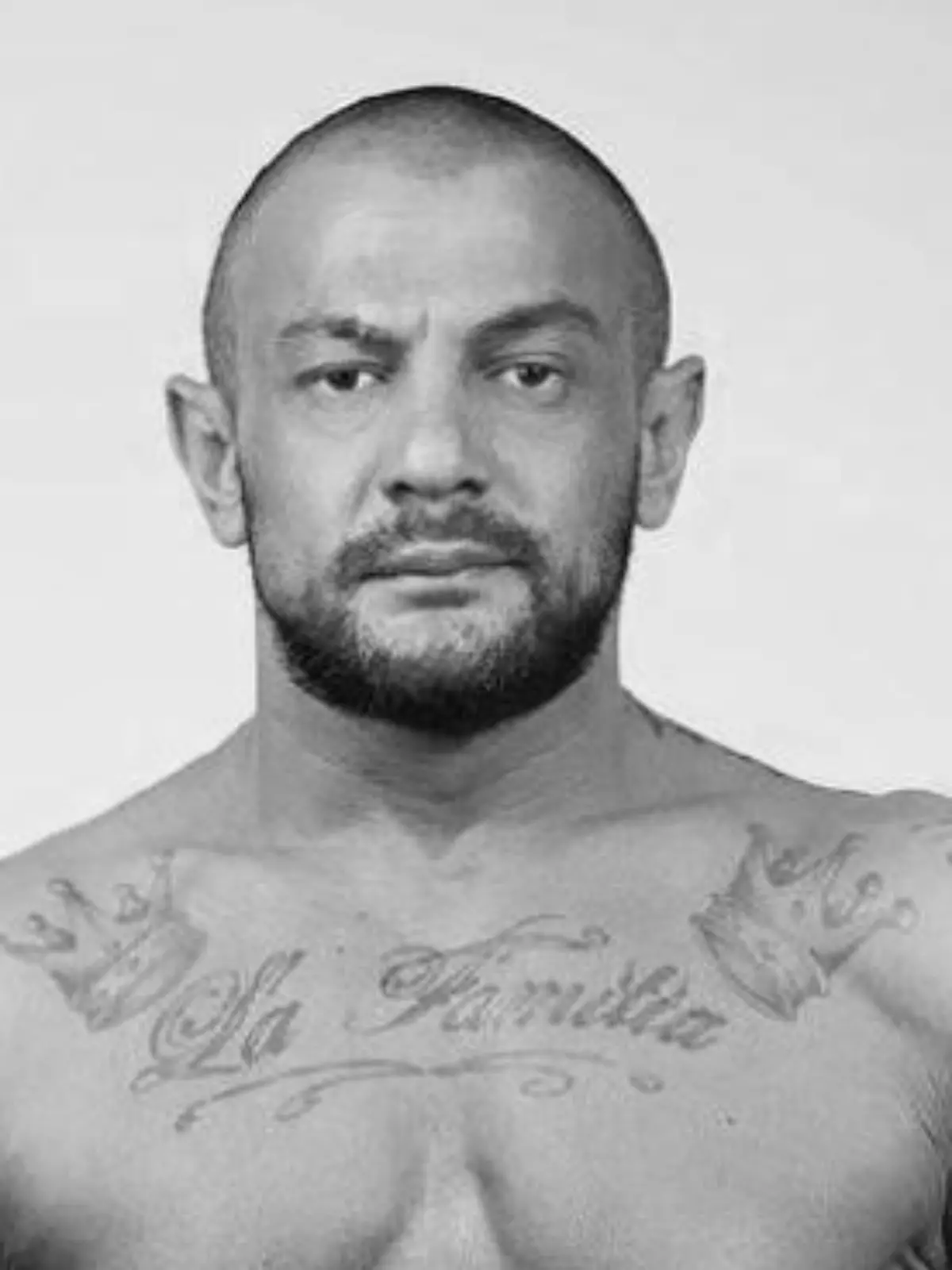 Münchner Boxer