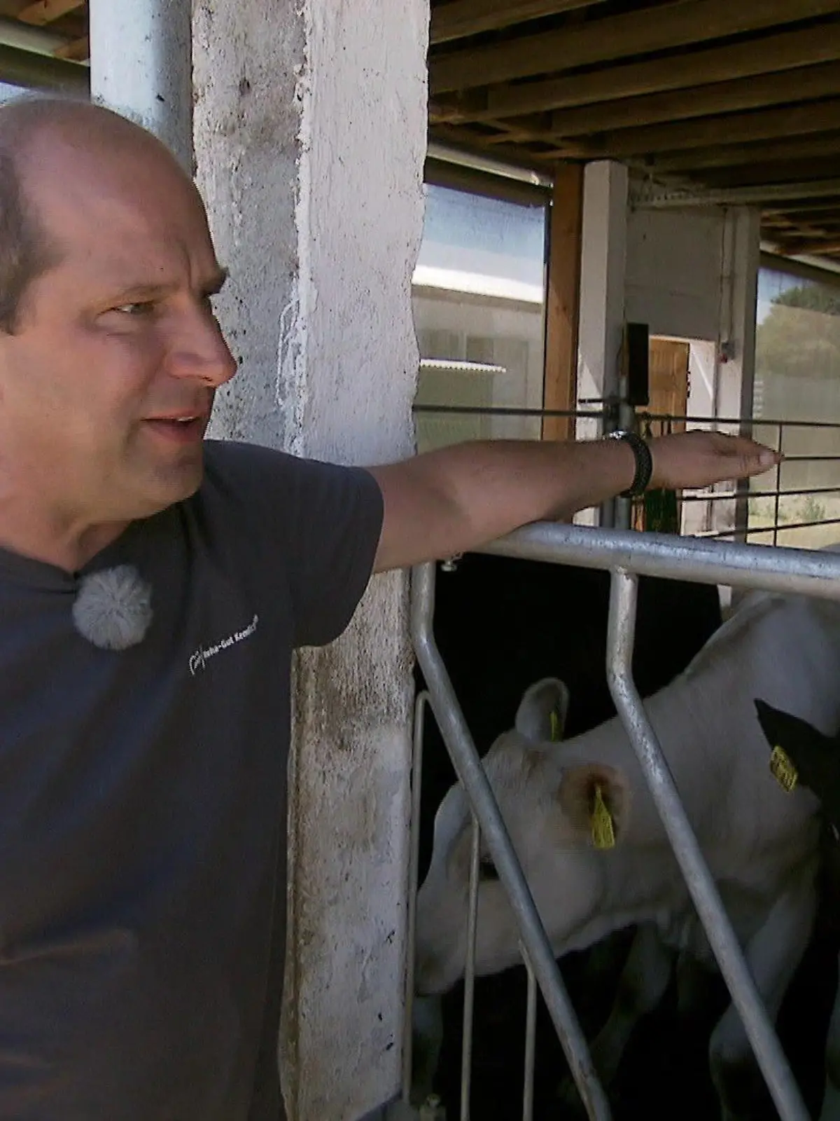 Bild zu: "Preis-Explosion bei Milch und Fleisch?"
