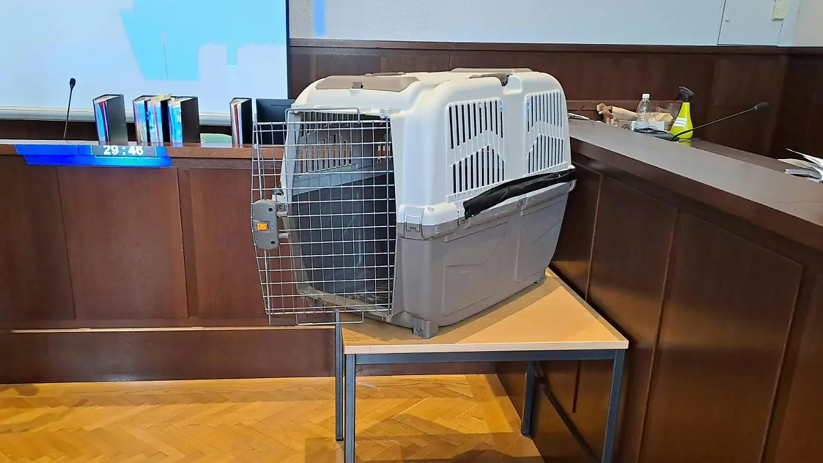 26.02.2024, Österreich, Krems: Eine Hundebox steht im Verhandlungssaal vom Landesgericht Krems während des Prozesses u.a. wegen versuchten Mordes gegen eine Mutter, die ihr Kind gequält und in eine Hundebox gesperrt haben soll . Foto: Christopher Eckl/APA/dpa +++ dpa-Bildfunk +++