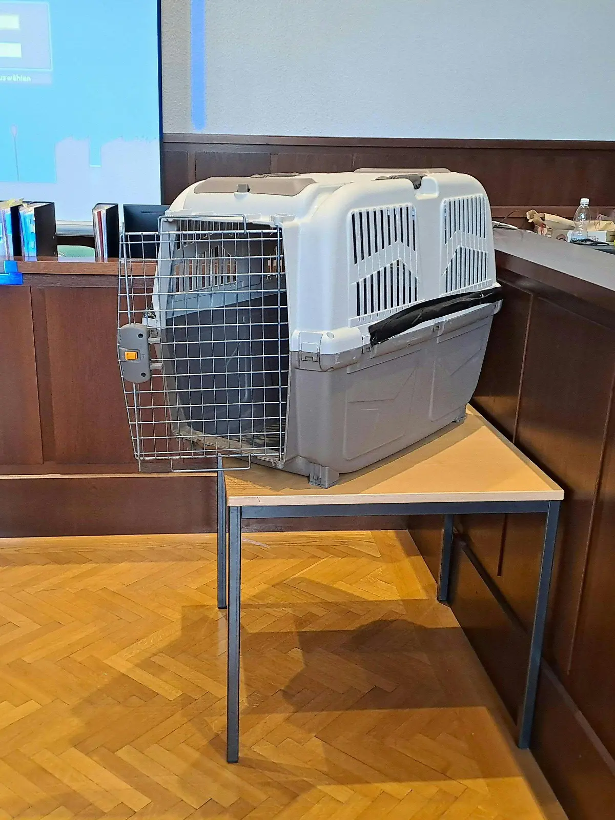 26.02.2024, Österreich, Krems: Eine Hundebox steht im Verhandlungssaal vom Landesgericht Krems während des Prozesses u.a. wegen versuchten Mordes gegen eine Mutter, die ihr Kind gequält und in eine Hundebox gesperrt haben soll . Foto: Christopher Eckl/APA/dpa +++ dpa-Bildfunk +++