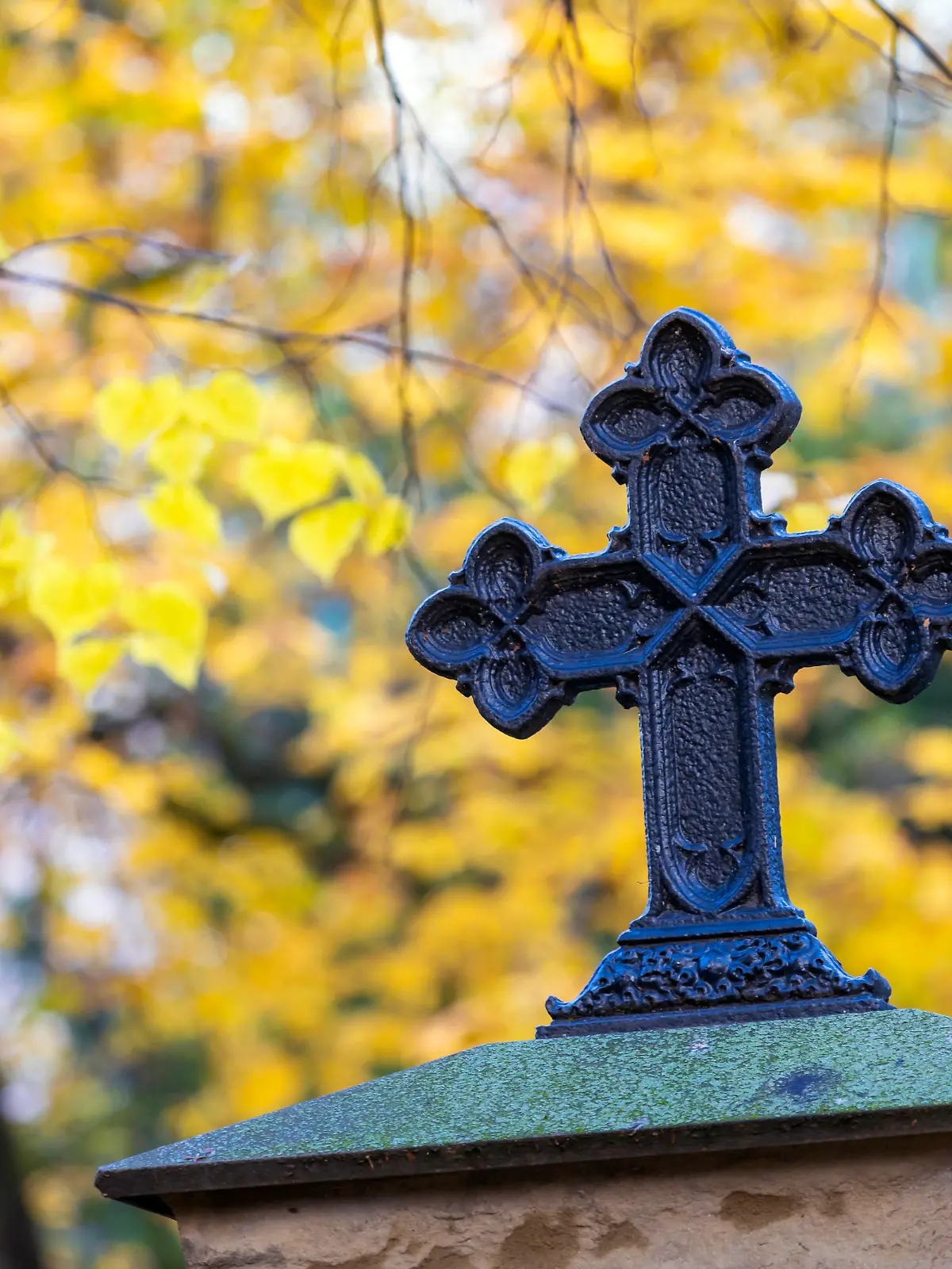  DEU, Deutschland, Baden-Württemberg, Stuttgart, 09.11.2019: Hoppenlau-Friedhof im Herbst. Er ist der älteste noch erhaltene Friedhof in Stuttgart. *** DEU, Germany, Baden Württemberg, Stuttgart, 09 11 2019 Hoppenlau cemetery in autumn It is the oldest still preserved cemetery in Stuttgart