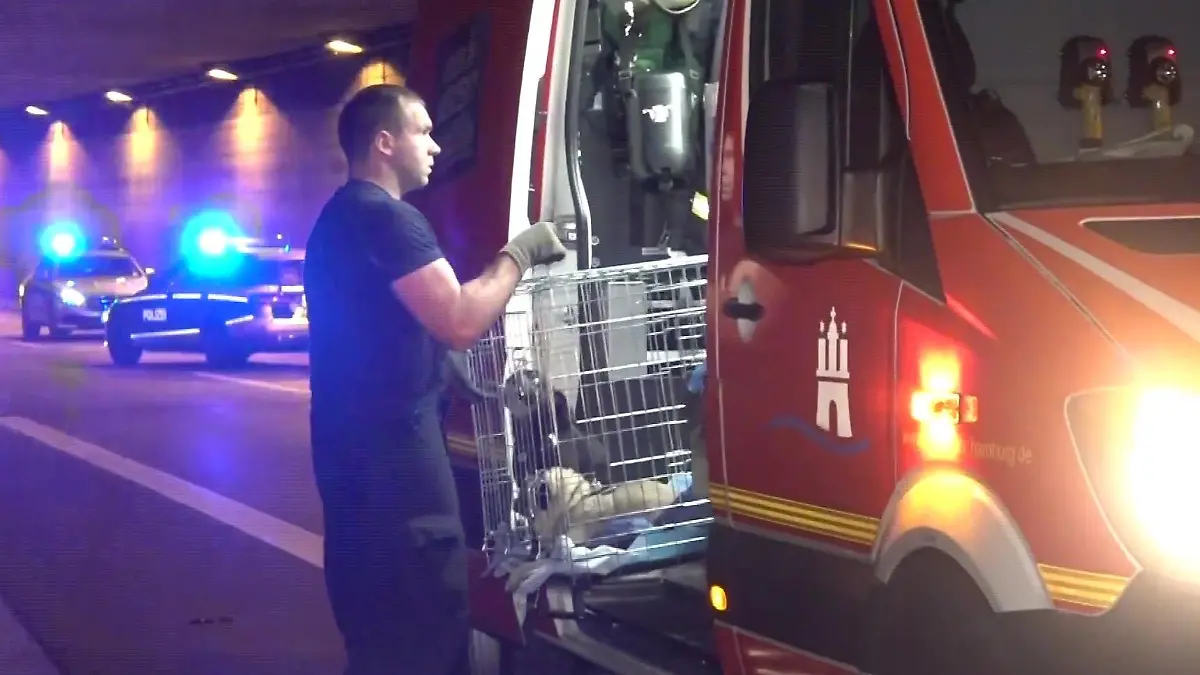Eine rasante Autofahrt endet im Tunnel eines Zubringers zum Hamburger Flughanfen.
