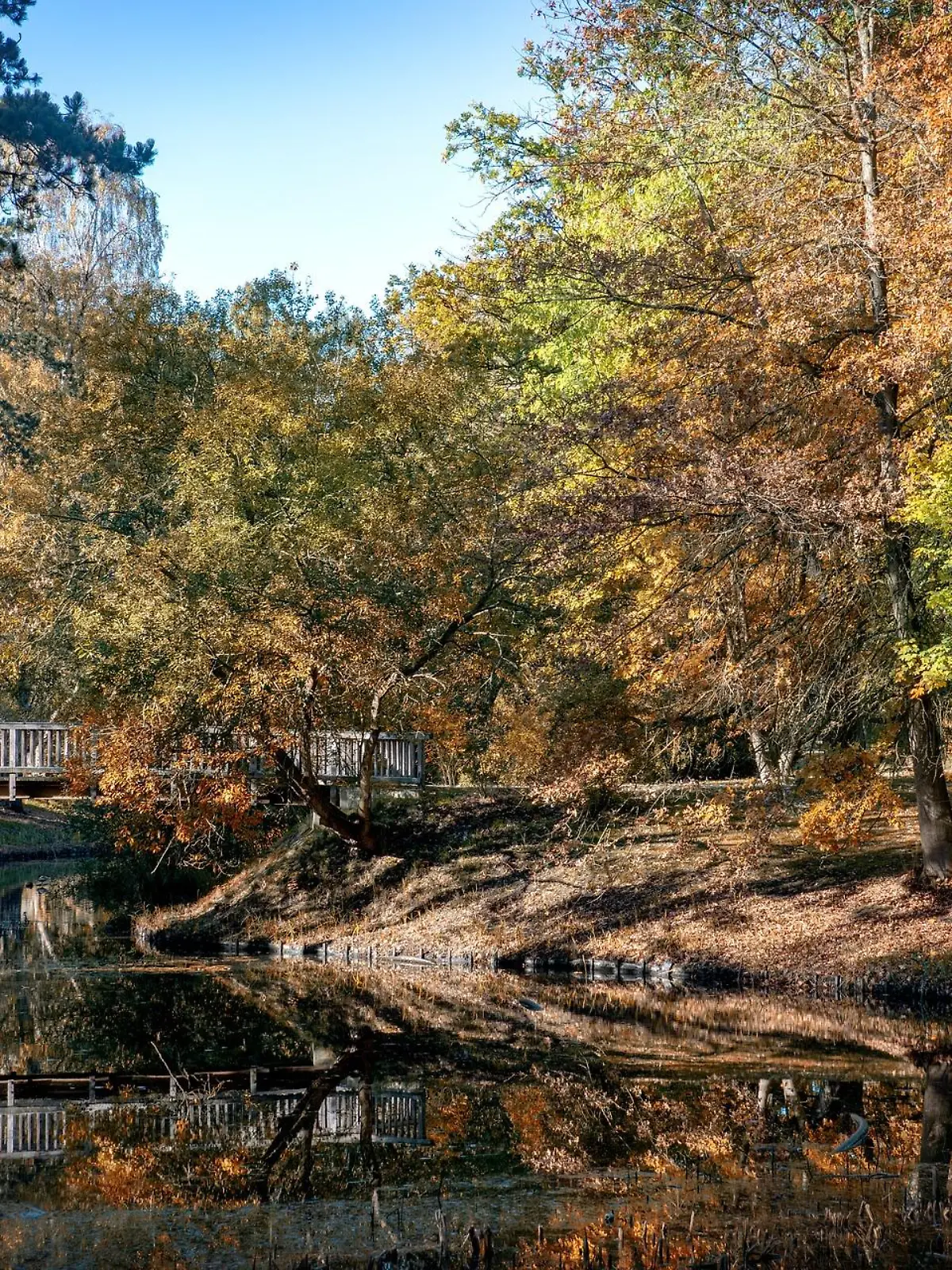 Bürgerpark in Bremen