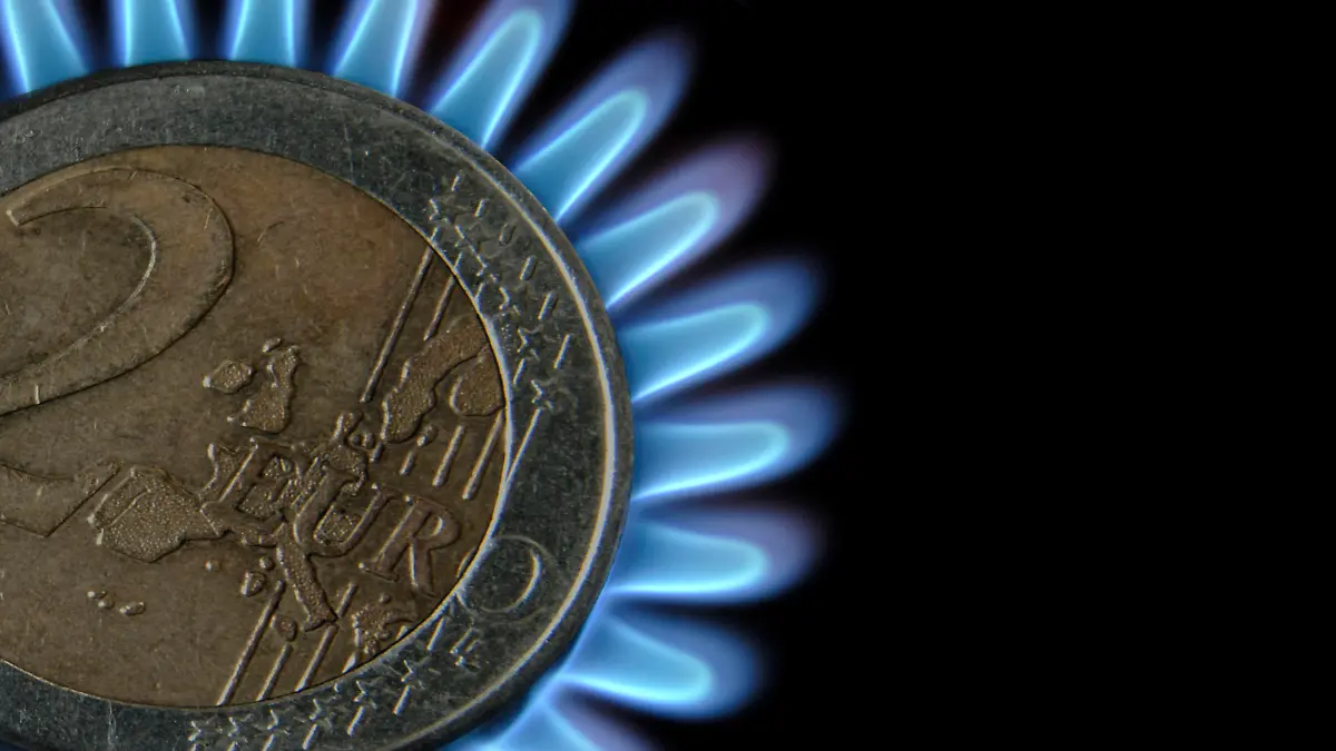  Gas hob flames with Euro 2 coin, concept household bills and rising gas and energy prices in the European Union . Digital composition. Gasherdflammen mit 2-Euro-Münze, Konzepthaushaltsrechnungen und steigende Gas- und Energiepreise in der Europäischen Union. Rechnung, Rechnungen, Marke, Budgetierung, brennen, Bargeld, Koch, Herd, Kochen, Kosten, Währung, Zeichnung, Energie, Treuhänder, Finanzen, Flamme, wärme, heizung, haushalt, abbildung, leistung, valuta, europäisch, preis, steigen, deutsch, deutschland