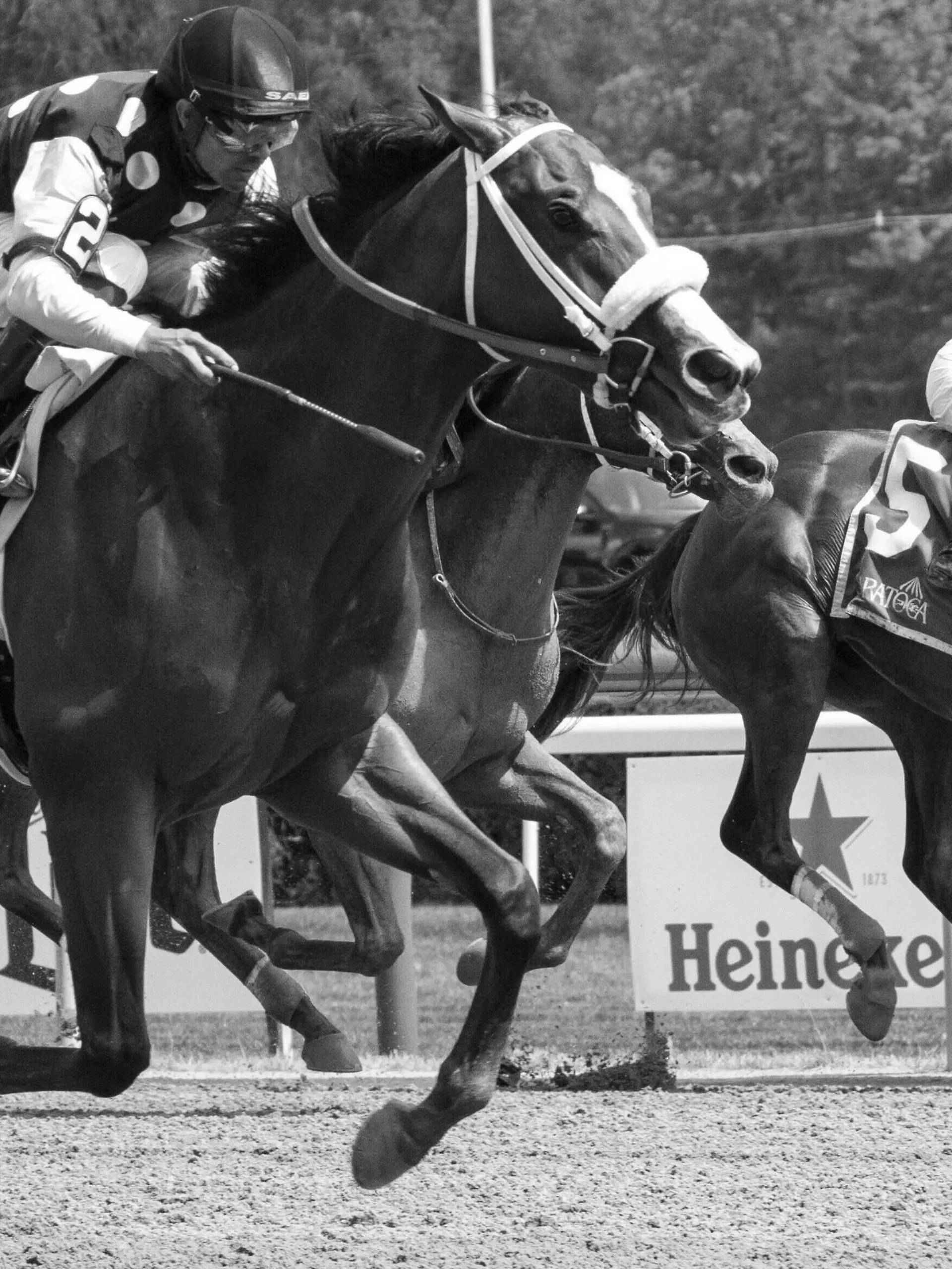  August 7, 2022, Saratoga Springs, NY, USA: August 7, 2022: Naughty Gal 2, ridden by Luis Saez wins the Adirondack Stakes Grade 3 at Saratoga Race Course in Saratoga Springs, N.Y. on August 7, 2022. /Eclipse Sportswire/CSM Saratoga Springs USA - ZUMAcs17 20220807_zaf_cs17_001 Copyright: xGaryxJohnsonx