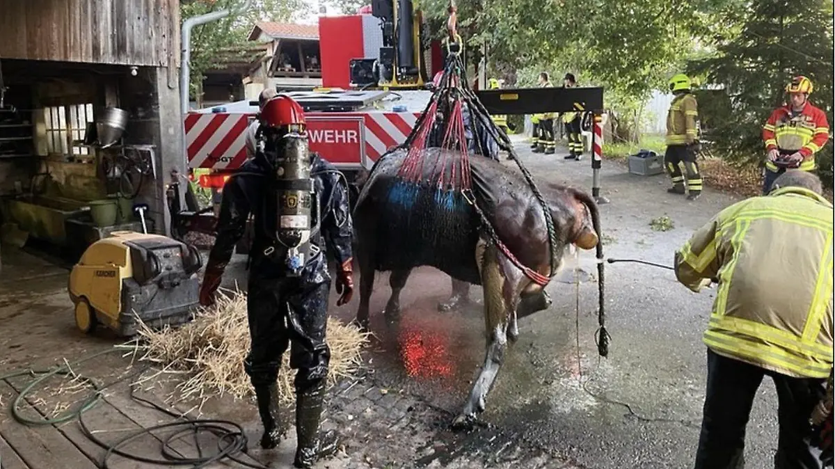 Die Rettungsaktion wurde mithilfe eines Krans bewältigt.