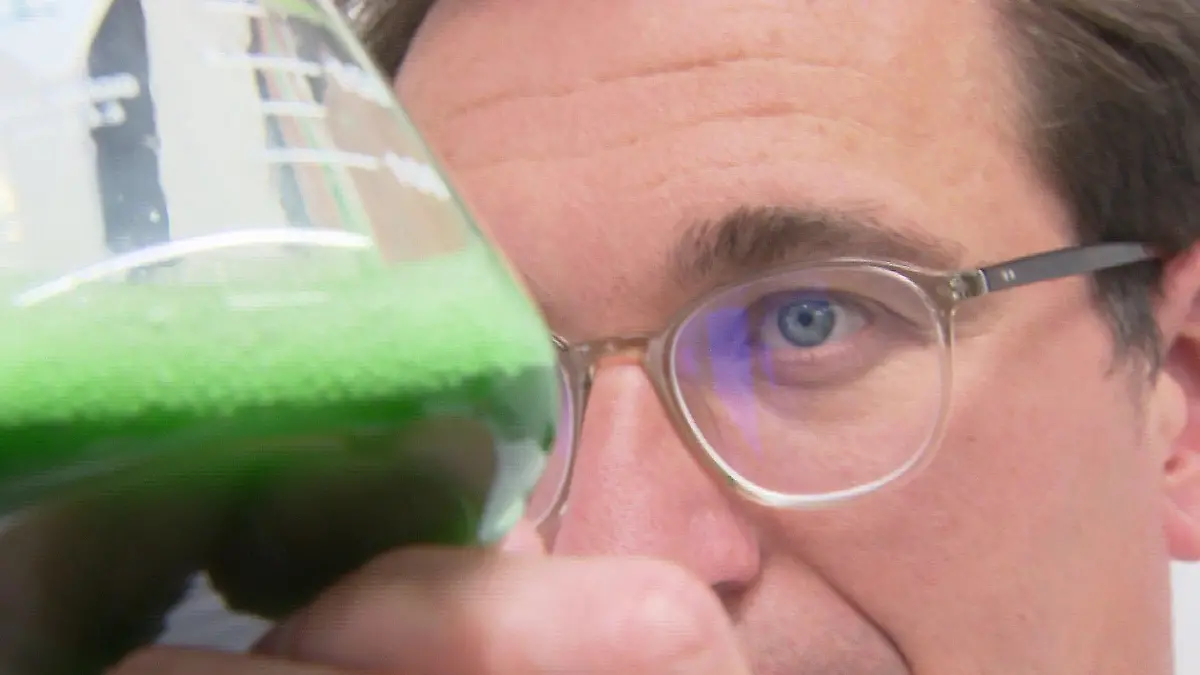 Forscher der Uni Marburg arbeiten an künstlicher Photosynthese.