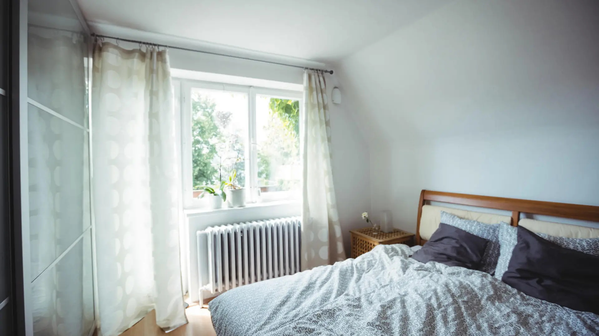 View of a empty bedroom