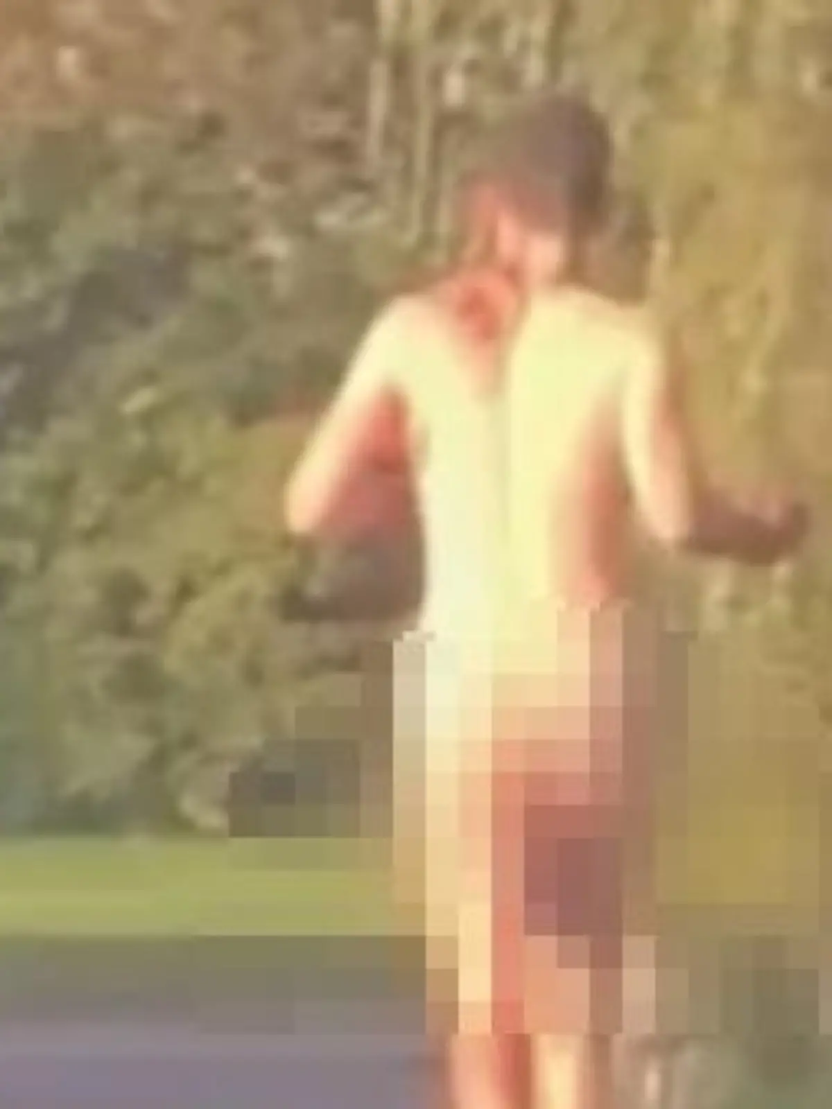 Nackt soll der junge Mann von der Unfallstelle geflüchtet sein.