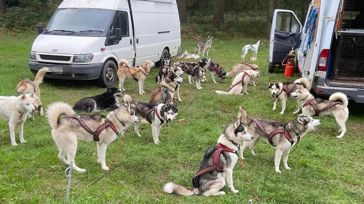 Die Familie soll mit den Hunden zusammengelebt haben.