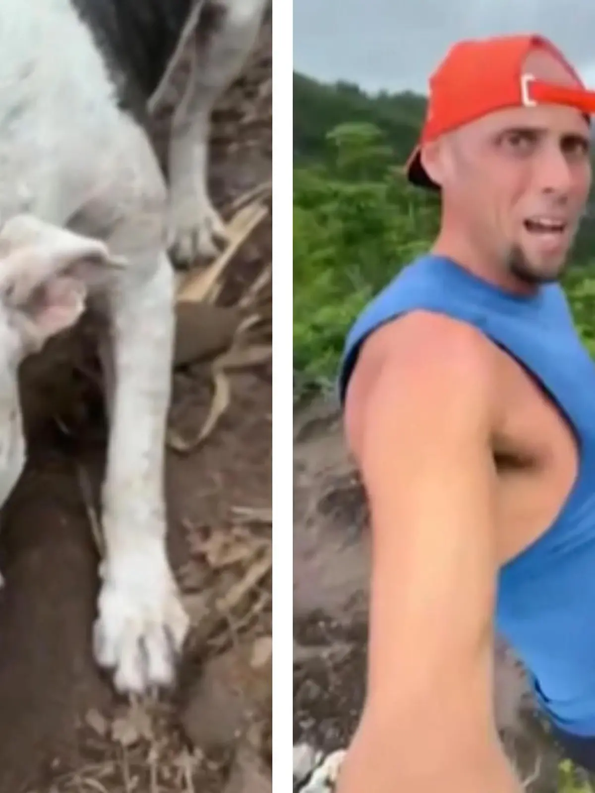 Sergio Fabio trainiert auf einem der gefährlichsten Wanderwege Hawaiis. Der Sportler entdeckt in rund 300 Metern Höhe eine verletzte Hündin. Stevie ist dehydriert und verängstigt. Dank seines guten Trainings kann er sie retten.