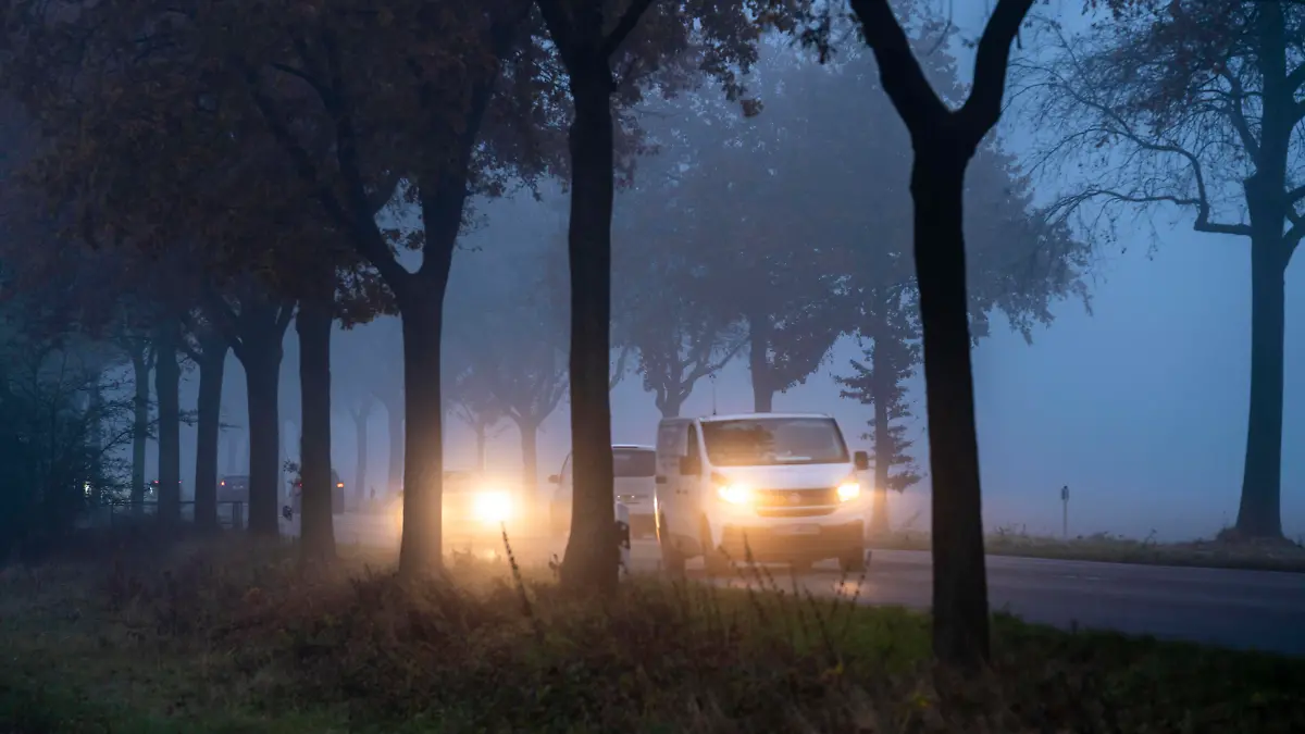  Landstrasse B 57 bei Erkelenz, Herbst, Nebel, Regenwetter, Baumallee, nasse Fahrbahn, NRW, Deutschland, Nebel Landstrasse *** Country road B 57 near Erkelenz, autumn, fog, rainy weather, avenue of trees, wet road, NRW, Germany, fog country road