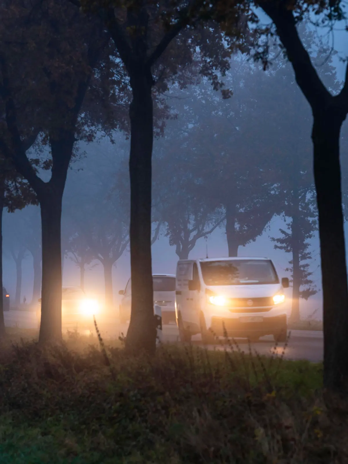  Landstrasse B 57 bei Erkelenz, Herbst, Nebel, Regenwetter, Baumallee, nasse Fahrbahn, NRW, Deutschland, Nebel Landstrasse *** Country road B 57 near Erkelenz, autumn, fog, rainy weather, avenue of trees, wet road, NRW, Germany, fog country road