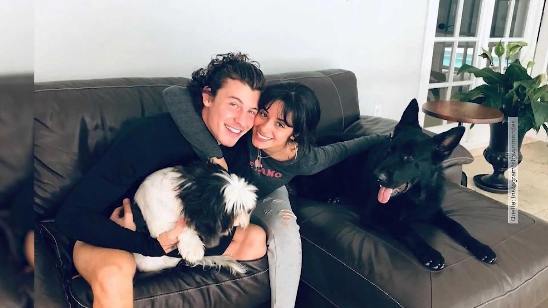 Camila Cabello und Shawn Mendes beim Knutschen erwischt Liebes-Comeback des Jahres?