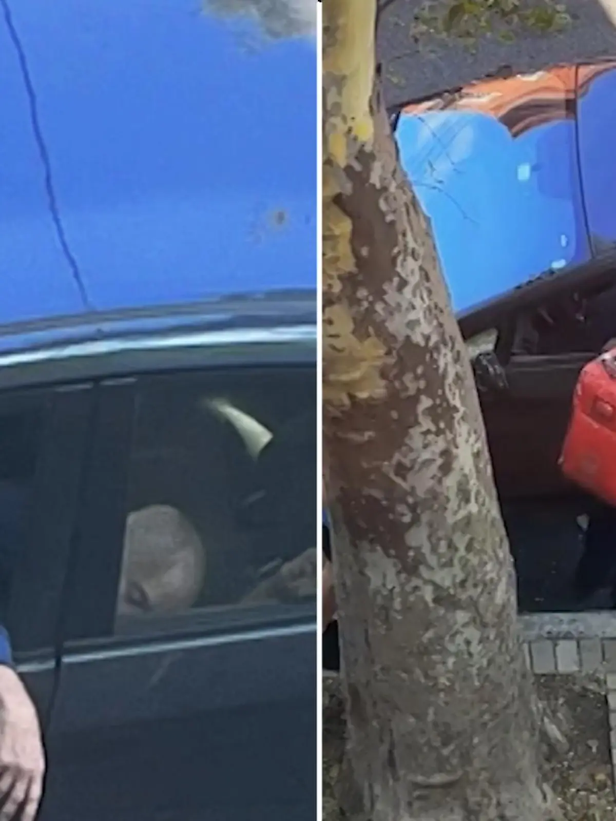 Stellen Sie sich vor, Sie machen ein entspanntes Nickerchen in Ihrem Auto – und werden währendessen für tot erklärt! Passiert ist das einem älteren Herren aus New York, weil eine besorgte Anwohnerin dachte, er läge tot in seinem Wagen.
