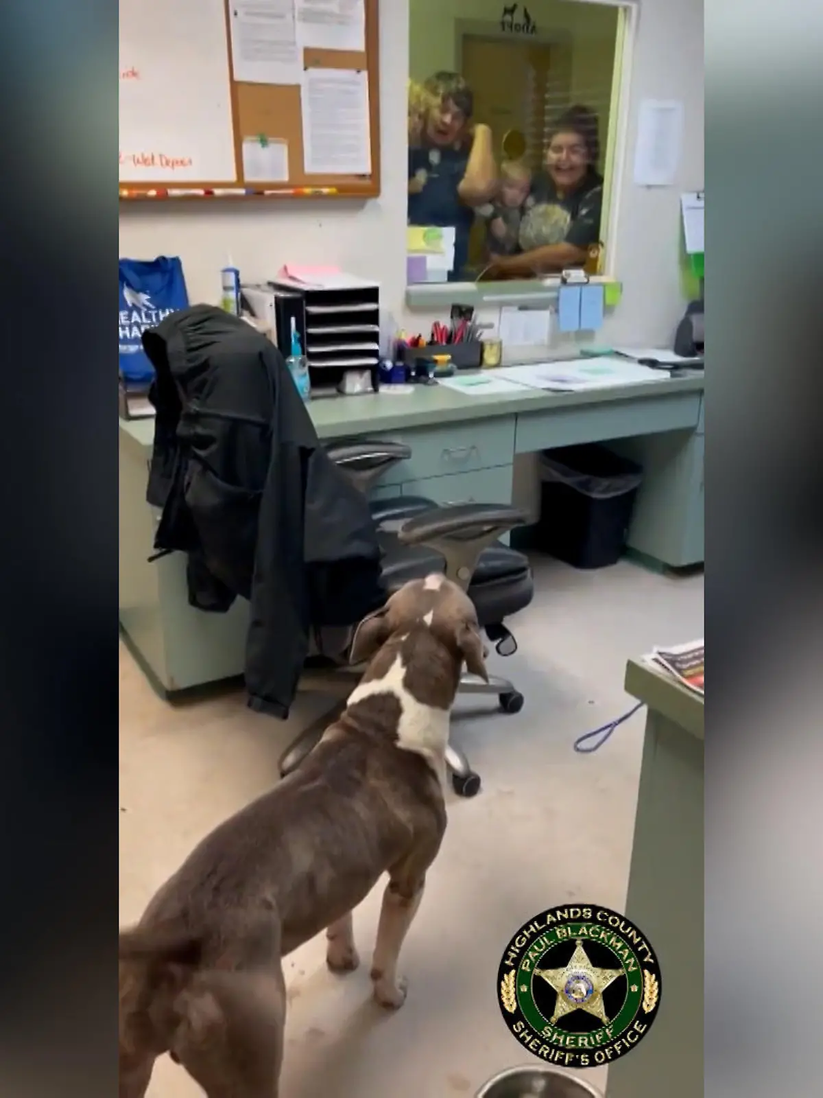 Hund Conway sieht seine Familie nach zehn Monaten auf der Straße endlich wieder.