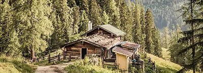 Aktivurlaub für Mensch und Hund in den Alpen bei Just Away