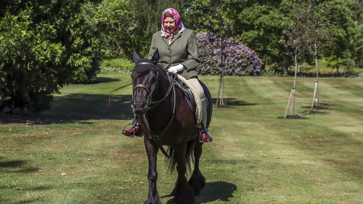 . 31/05/2020. Windsor, United Kingdom. Queen Elizabeth II rides Balmoral Fern, a 14-year-old Fell Pony, in Windsor Home Park over the weekend. The Queen has been in residence at Windsor Castle during the coronavirus pandemic. PUBLICATIONxINxGERxSUIxAUTxHUNxONLY xPoolx/xi-Imagesx IIM-21201-0001