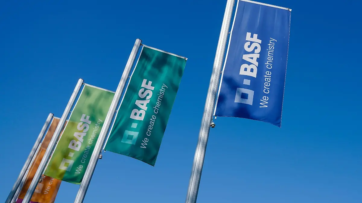 Bunte Fahnen mit der Aufschrift «BASF» wehen am Stammwerk des Chemiekonzerns BASF.