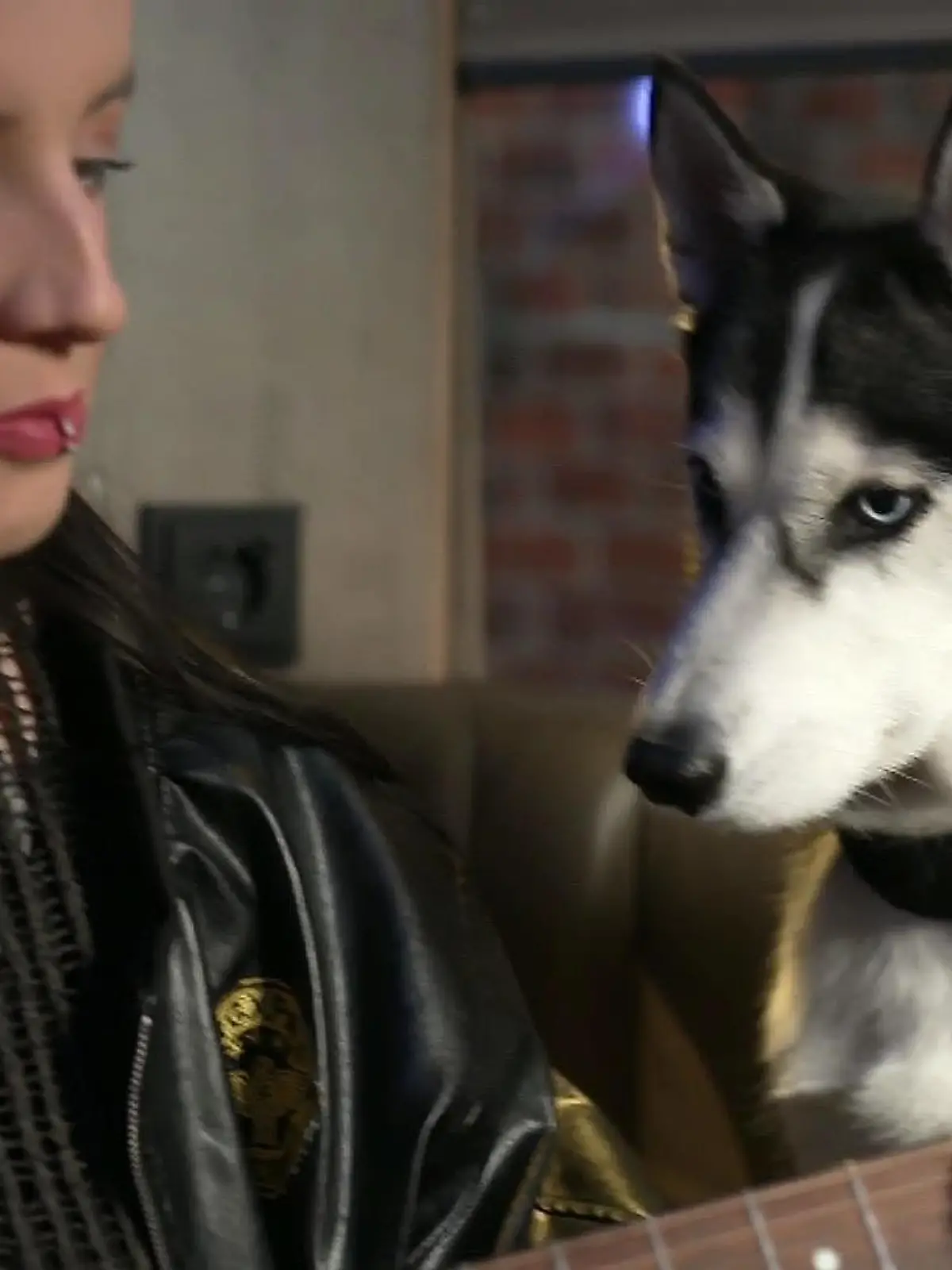 Top Dog Kandidatin