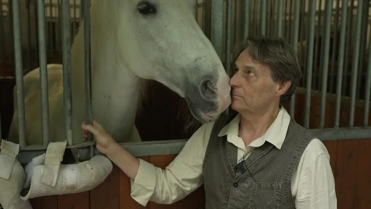 Neue Schurken-Rolle für Wolfgang Bahro GZSZ-Star geht fremd