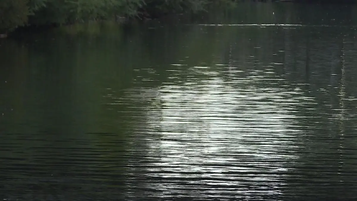 Das Auto versank in der Weser. (Symbolbild)