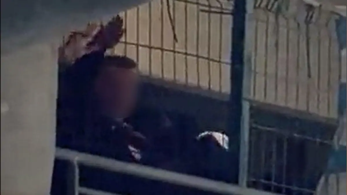 Hitlergruß SGE Blurr